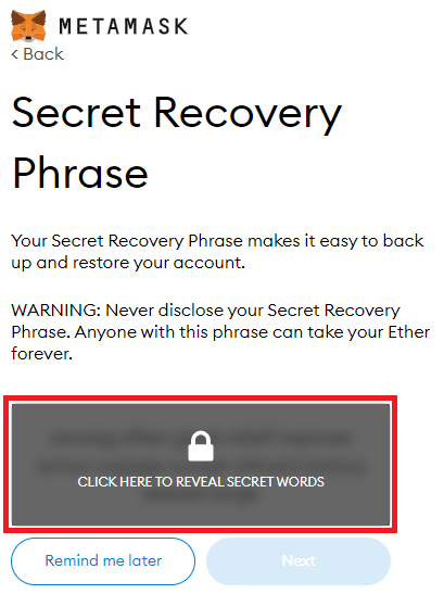 MetaMask Recovery Phrase Hidden